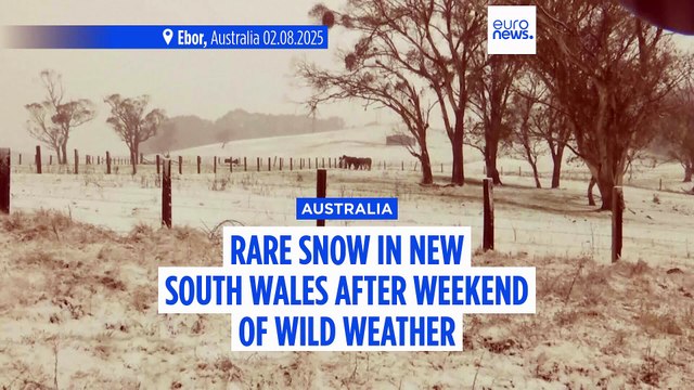 WATCH: Weekend of wild weather brings rare snowfall to towns in Australia