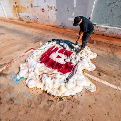 Seriously satisfying carpet cleaning 🧽