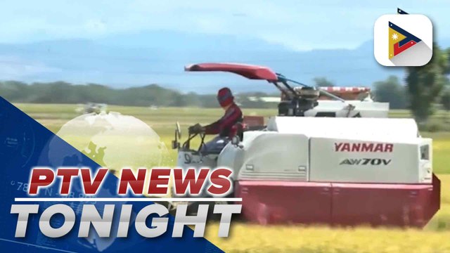 D.A. suggests to impose higher tariffs for imported rice