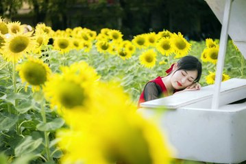 Relaxing Piano Melodies | Calm Your Mind & Soul