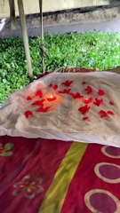 ¿Quieres embarazarme? Mujer sorprende a su pareja que vive bajo un puente