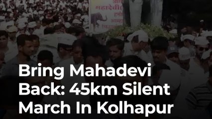 A 45-kilometre silent march, at the heart of it all — an elephant named Mahadevi