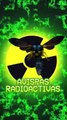Alarma en EEUU: descubren un nido de avispas radiactivas en una antigua instalación de 4rm4s nucleares