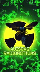 Alarma en EEUU: descubren un nido de avispas radiactivas en una antigua instalación de 4rm4s nucleares