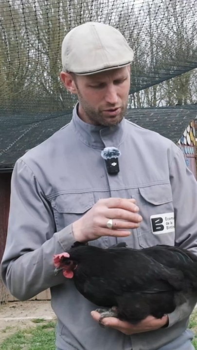Cet éleveur de poules passionné nous dévoile l’histoire de la Noire de Janzé ! 🐔Retrouvez ce reportage complet sur notre chaîne YouTube : CotCot Club (lien en bio) 🧡