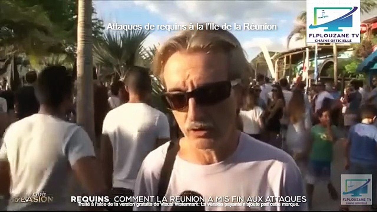 Actualités : Requins comment la Réunion a mis fin aux attaques (2025)