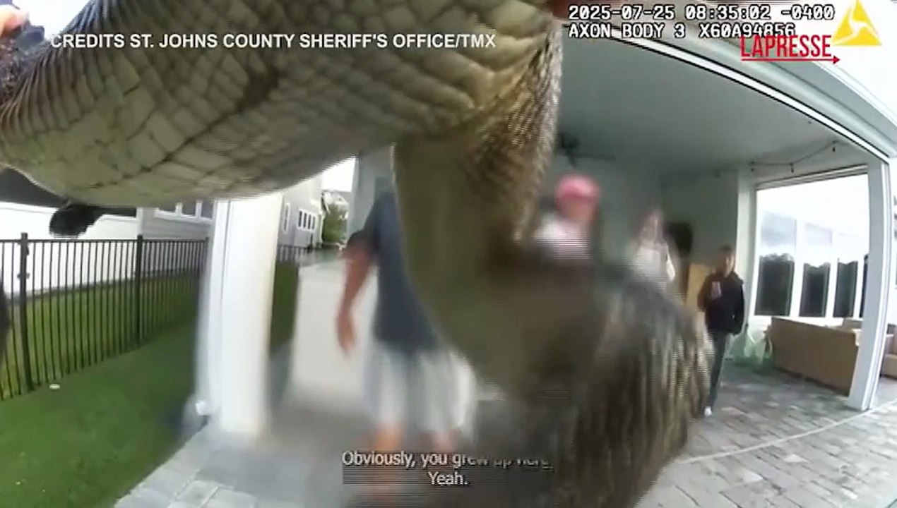 Florida, c'? un alligatore in piscina: il video dalla bodycam del vice sceriffo