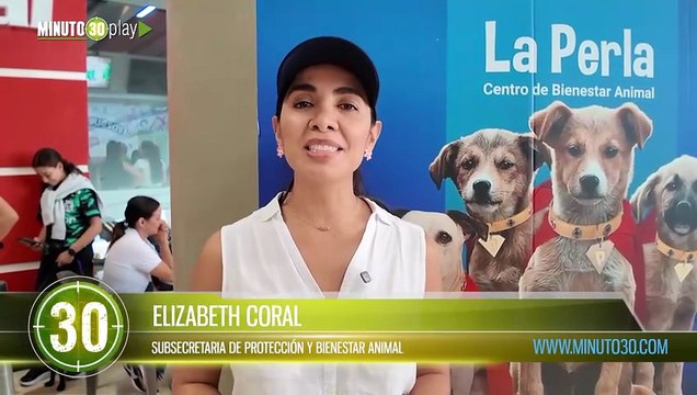 Campaña 'Adopta un Superhéroe' logró 29 adopciones de perros en Medellín en una semana