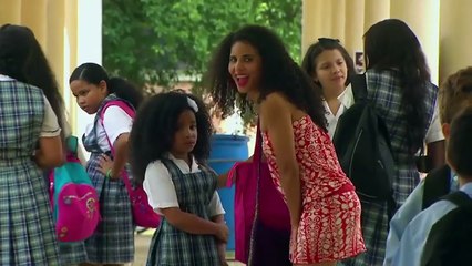 Niche es todo un éxito