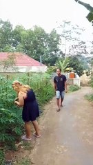 New funny comedy videos,funny days,New funniest co