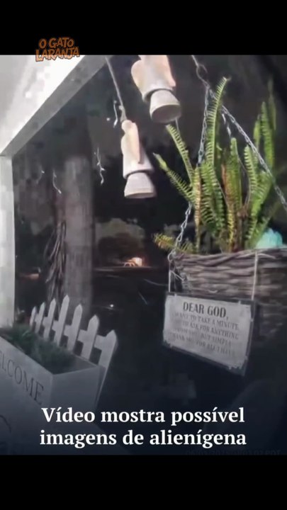 Câmera mostra possível imagem de alienígena