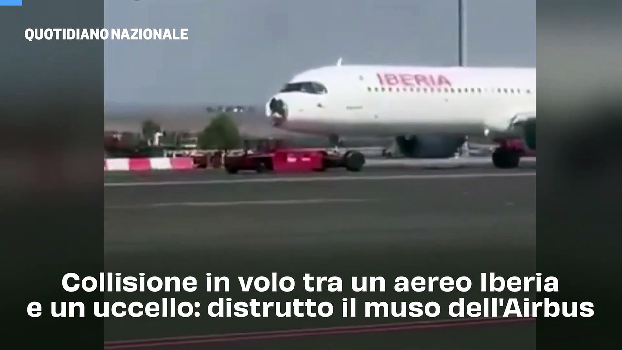 Collisione in volo tra un aereo Iberia e un uccello: distrutto il muso dell'Airbus
