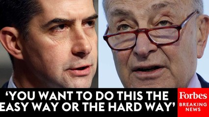 Tom Cotton Calls Out Dems For Holding Up Trump's Nominees