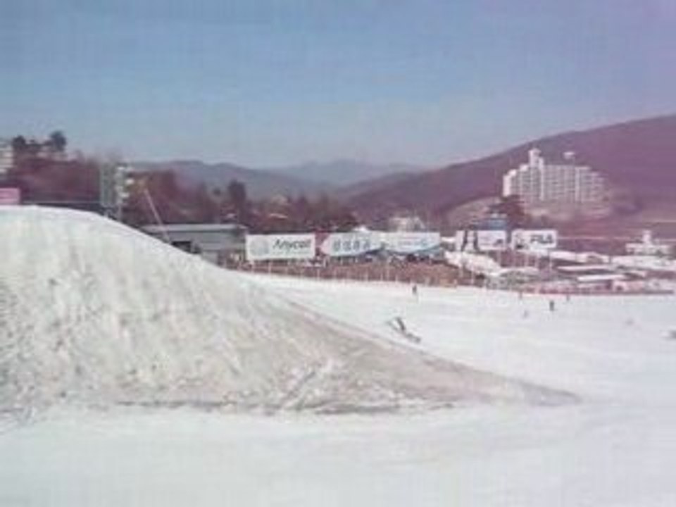 Lance de pantin