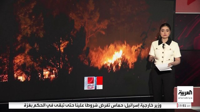 موجات الحر تجتاح العالم.. الصيف يكسر حاجز الـ40 درجة باليابان وجنوب أوروبا
