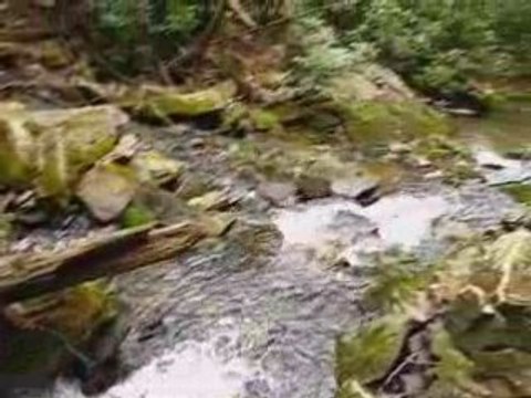 Waterfalls at Twinn Falls State Park West Virginia