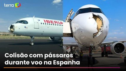 Avião fica com bico destruído após colidir com pássaros durante voo