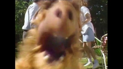 ALF Staffel 2 Folge 26 "Nebenjob gesucht" #Deutsch #HD