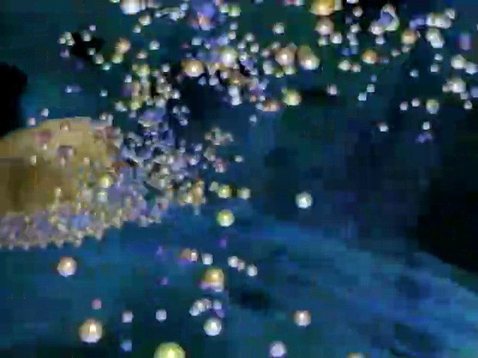 Planet of Life_ 7of7_Evolution's Next Step