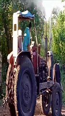 TRADICIÓN y FUERZA: Así se Trabaja en el Campo Cubano | Arrancando un Tractor con Bueyes