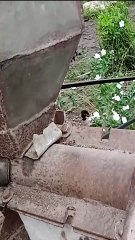 Cómo Hacer Arroz Criollo Cubano: El Primer Paso ESENCIAL (Limpiar el Arroz)