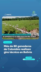 Más de 80 ganaderos de Colombia realizan gira técnica en Bolivia