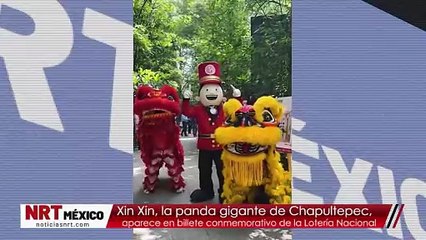 Xin Xin, la panda gigante de Chapultepec, aparece en billete conmemorativo de la Lotería Nacional