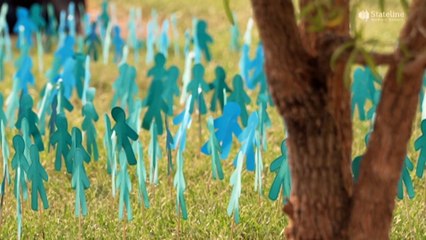 The Northern Territory's 'horrendous' scourge of sexual violence has victims and frontline services sounding the alarm