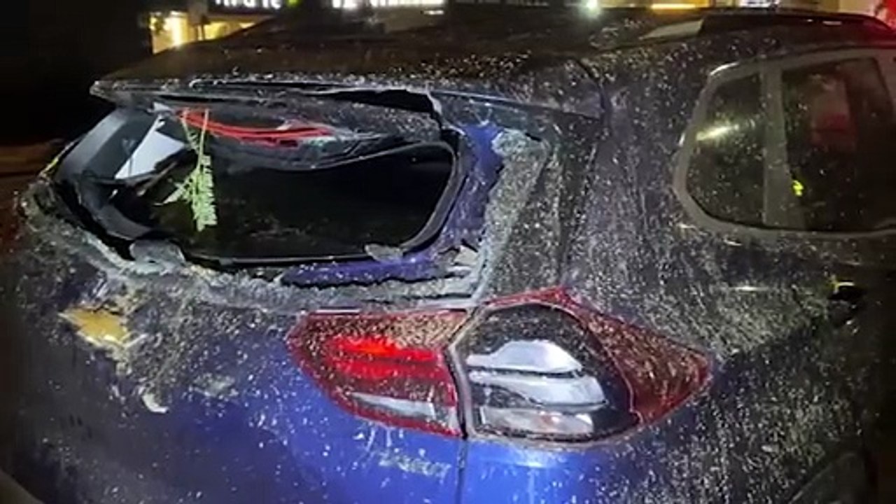 Queda de árvore no Centro: Trânsito é liberado e equipes iniciam reparos na rede elétrica