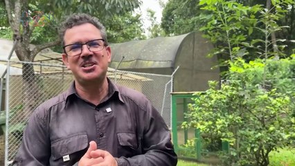 El guardián del ángel: Don Gilberth y el secreto escondido en el bosque de Río Loro