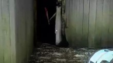 Plasma Gun vs Granny, Crawling Slendrina & Nosferatu! 🔫⚡ (Granny 2 Update)