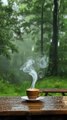 Morning,rain cup of tea with nature