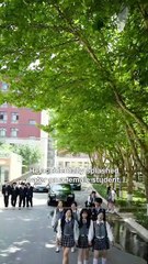 A Mafia Boss Reincarnated as a Student! You Won’t Believe What He Did on His First Day Back at School