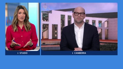 Foreign Minister Declares Two-State Solution as the Only Path to Peace 🇵🇸