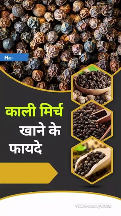 Black Pepper Benefits in Hindi
