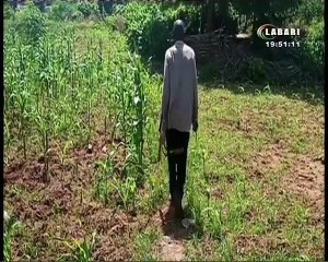 JT LABARI 29 JUILLET 2025