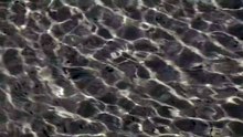 Water Loop 1 (2024)