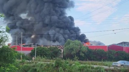 충남 홍성 김 공장 큰불...8시간 만에 완진 / YTN