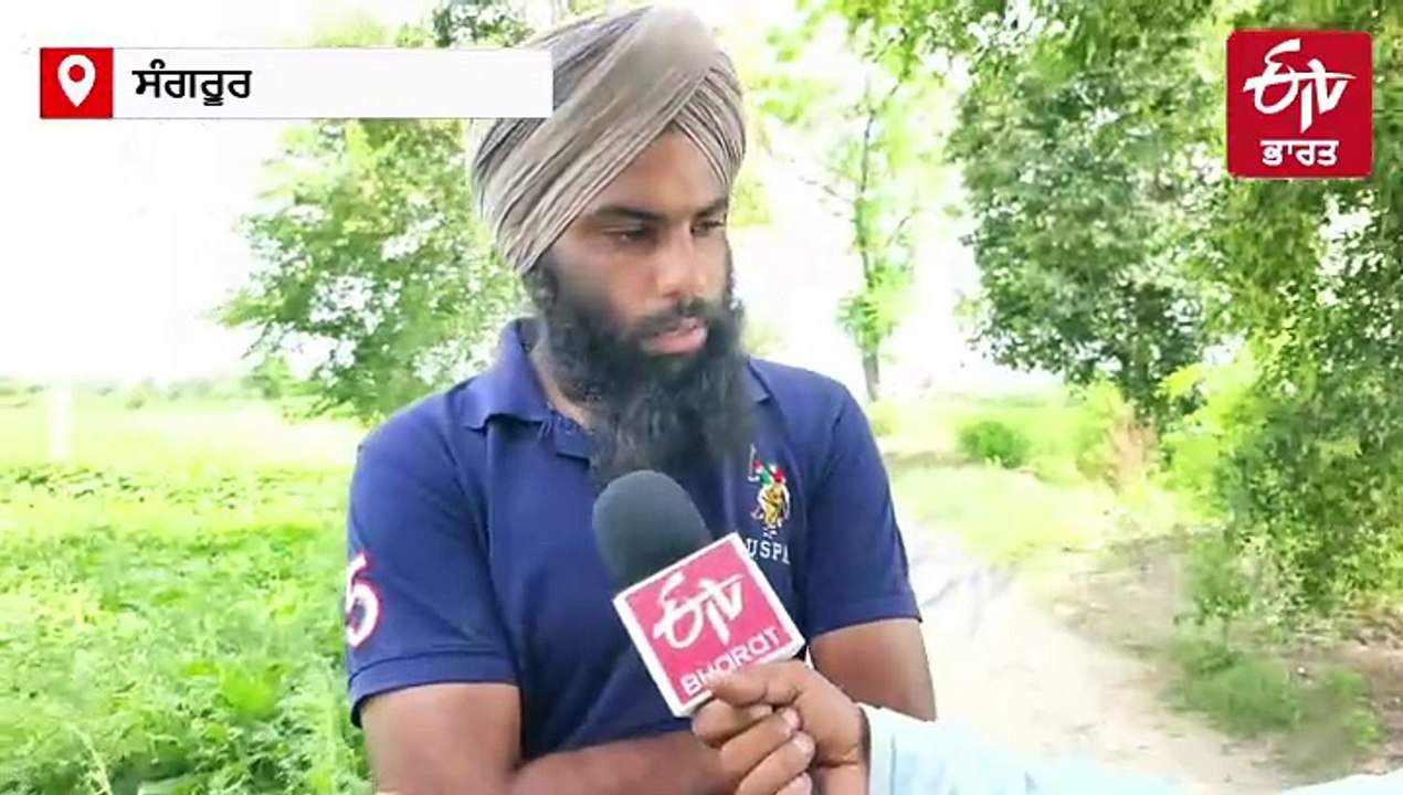 ਲਗਾਤਾਰ ਪੈ ਰਹੇ ਮੀਂਹ ਕਾਰਨ ਸਬਜ਼ੀਆਂ ਦੀ ਫਸਲ ਦਾ ਨੁਕਸਾਨ, ਕਿਸਾਨ ਹੋਏ ਨਿਰਾਸ਼