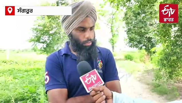 ਲਗਾਤਾਰ ਪੈ ਰਹੇ ਮੀਂਹ ਕਾਰਨ ਸਬਜ਼ੀਆਂ ਦੀ ਫਸਲ ਦਾ ਨੁਕਸਾਨ, ਕਿਸਾਨ ਹੋਏ ਨਿਰਾਸ਼