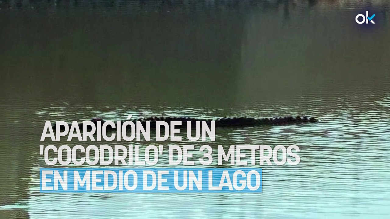 Conmoción entre los turistas de Mallorca por la aparición de un 'cocodrilo' de 3 metros en medio de un lago