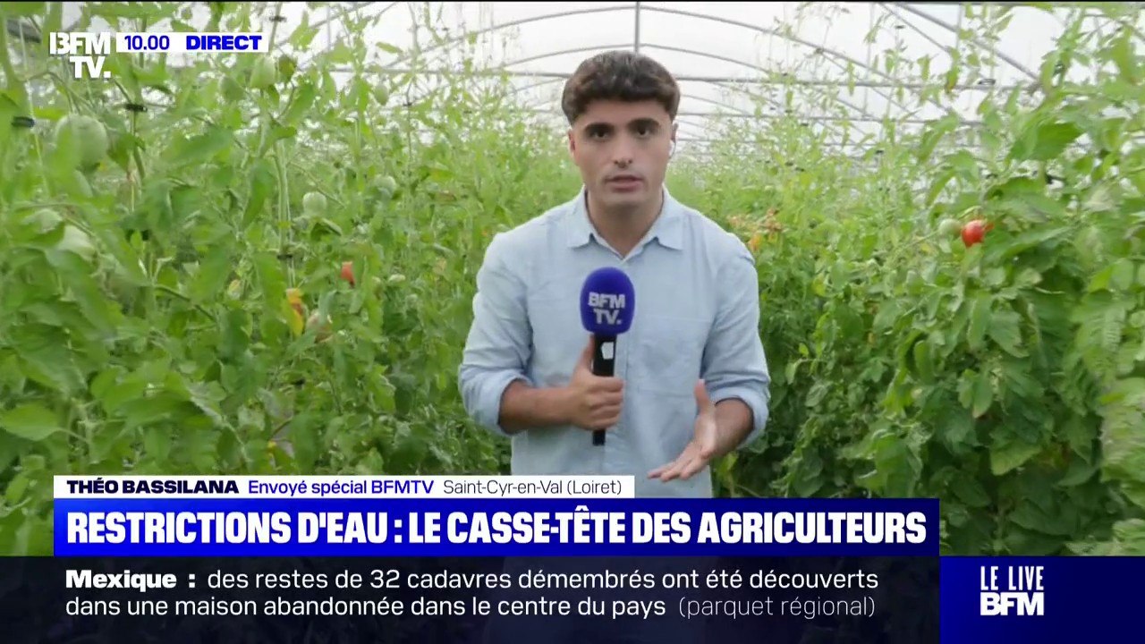 "On optimise la moindre goutte d'eau”: les agriculteurs s’adaptent aux restrictions d’eau liées à la sécheresse