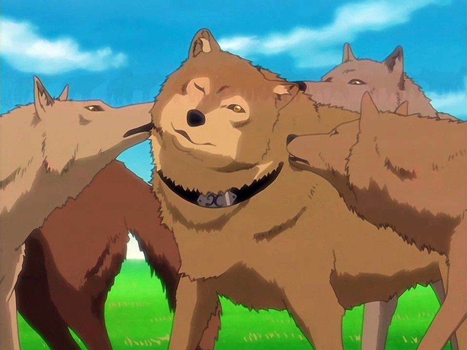 Wolfs Rain - EP.08 English dub