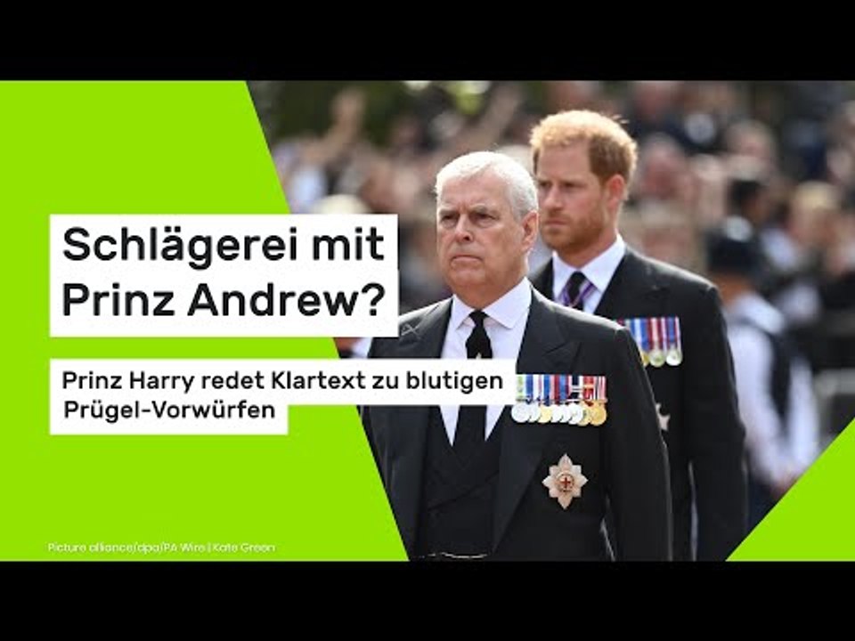 Schlägerei mit Prinz Andrew?: Prinz Harry redet Klartext zu blutigen Prügel-Vorwürfen