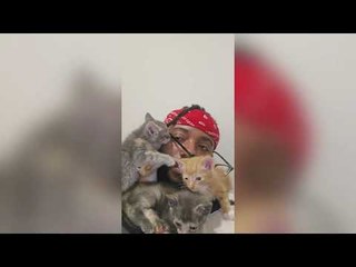 Newborn Kittens Cuddle Up to Man's Face, Creating Instant Bond