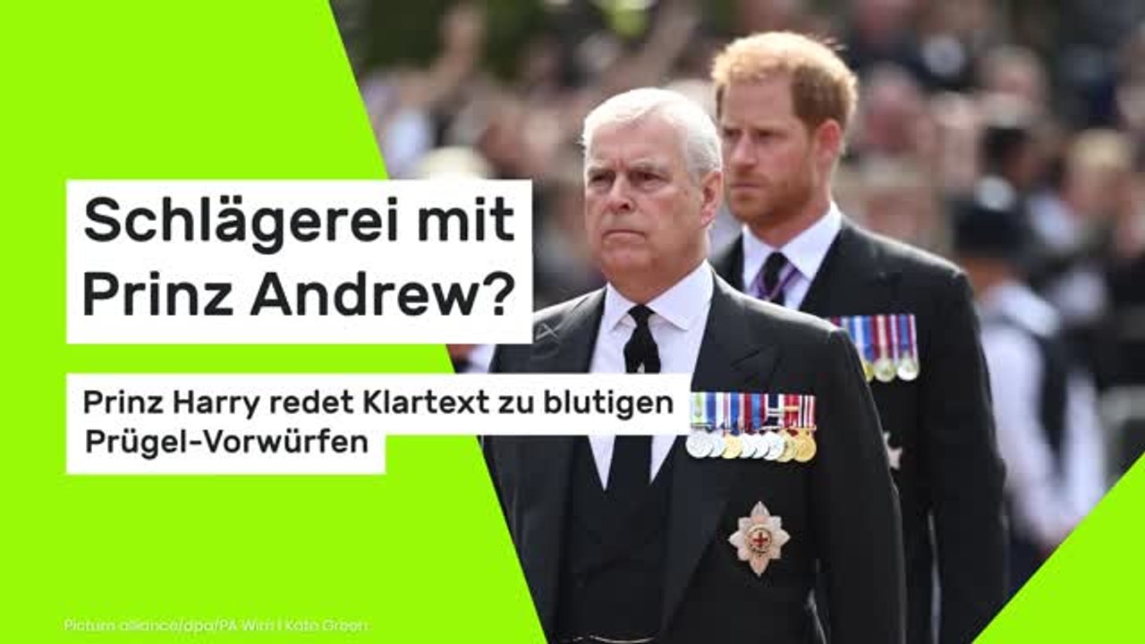 Schlägerei mit Prinz Andrew?: Prinz Harry redet Klartext zu blutigen Prügel-Vorwürfen