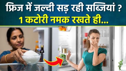Fridge Mein Namak Rakhne Se Kya Hota Hai: Fridge Bad Smell Solution |Boldsky
