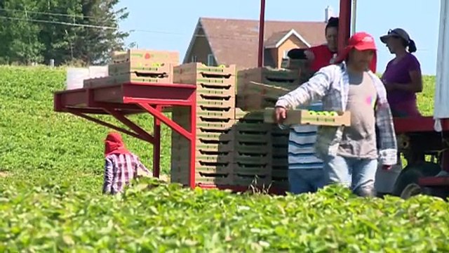 07 aout topo lpm TRAVAILLEUR ETRANGER