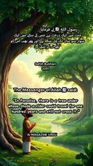 A Tree in Paradise Beyond Imagination 🌳✨ | Hadith of the Prophet ﷺ