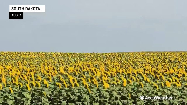 Tornado threat expected in the Dakotas as severe storms arrive